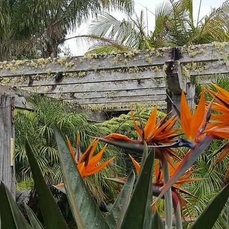 Colleith Lodge Tairua Dış mekan fotoğraf